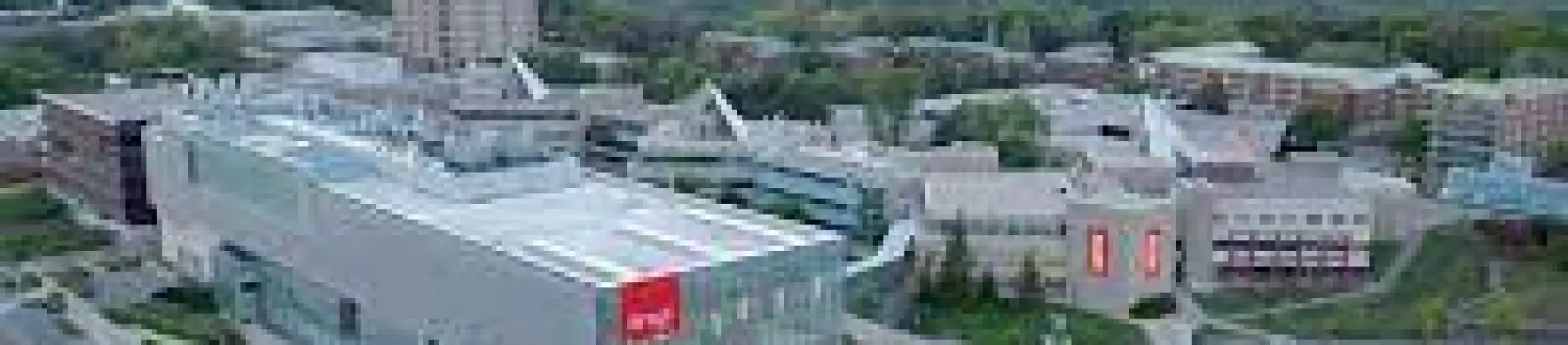 Business Administration Co-op International Double Degree